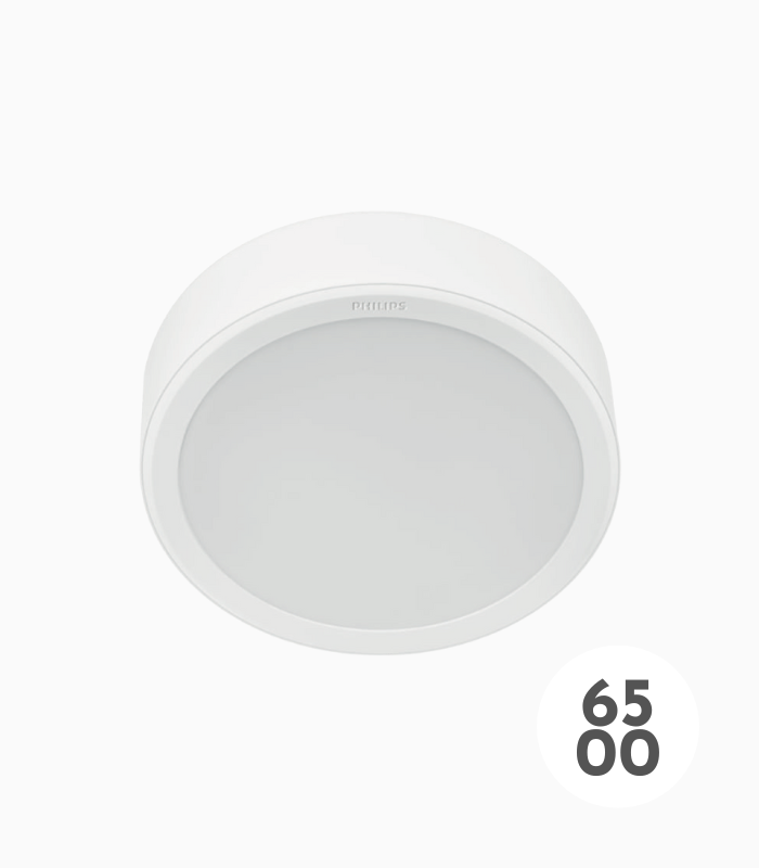 Meson Surface Mounted Downlight