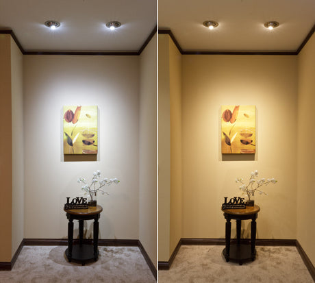 Warm Light vs Cool Light Demo: Understanding the Difference in Lighting