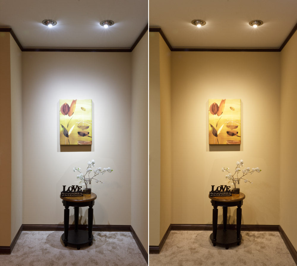 Warm Light vs Cool Light Demo: Understanding the Difference in Lightin ...