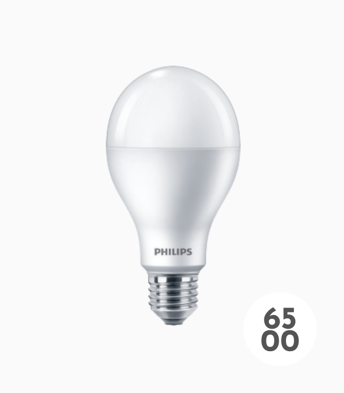 LED High Lumen E27