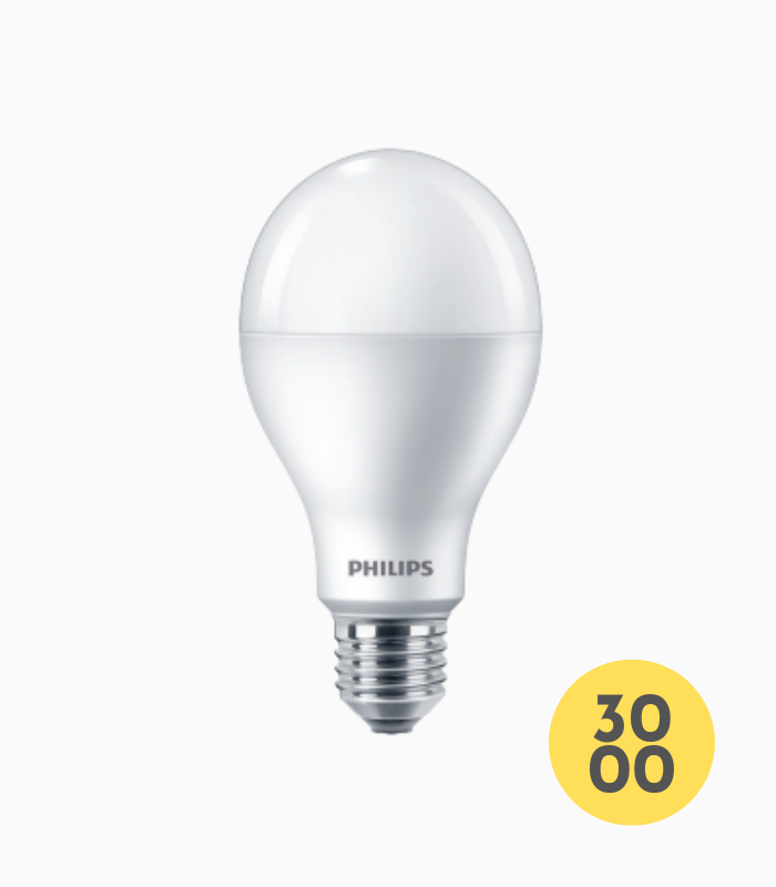 LED High Lumen E27