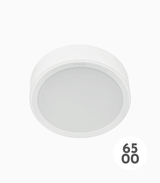 Meson Surface Mounted Downlight