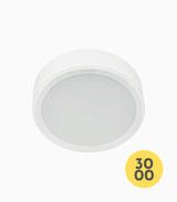 Meson Surface Mounted Downlight