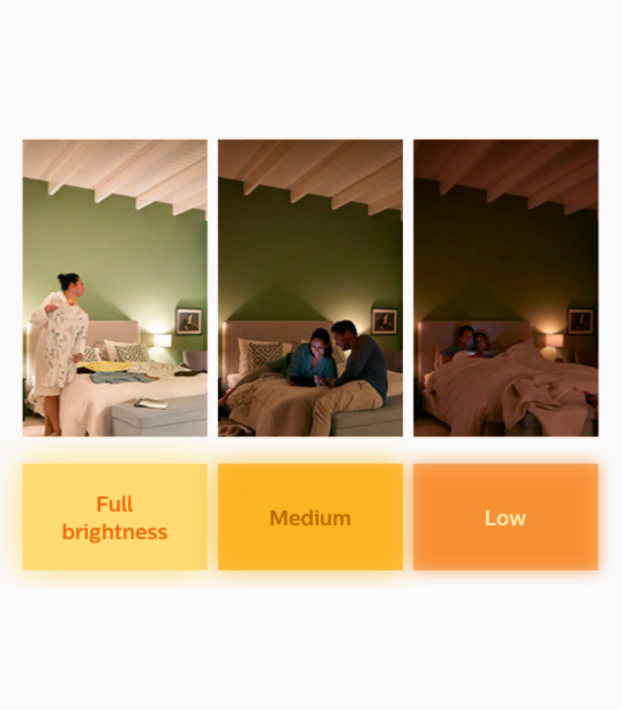 Meson Scene Switch Downlight