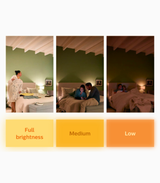 Meson Scene Switch Downlight