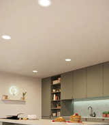 Meson Scene Switch Downlight